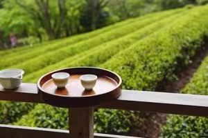 Где рождается вкус: кто настоящий производитель чая