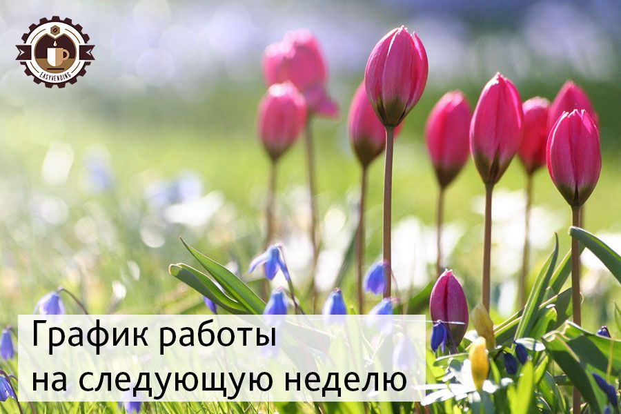 График работы компании на Троицу-2018