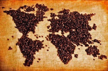 Какой сорт кофе купить: гайд по лучшим мировым сортам 